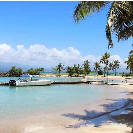 Studio Confort Pres Des Plages Le Gosier  Εξωτερικό φωτογραφία