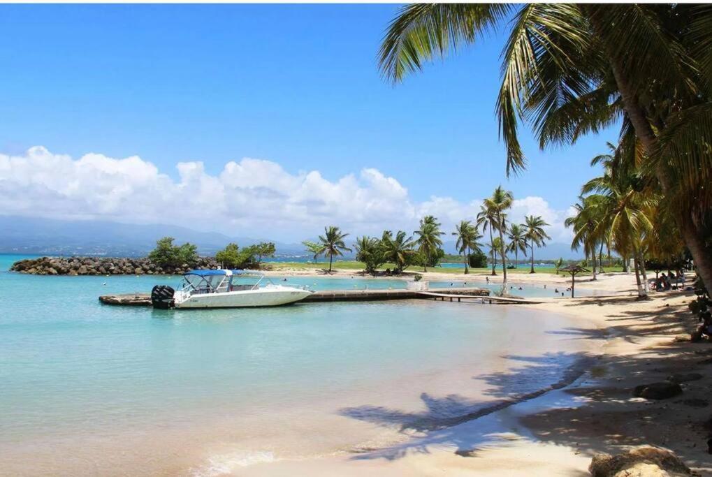 Studio Confort Pres Des Plages Le Gosier  Εξωτερικό φωτογραφία